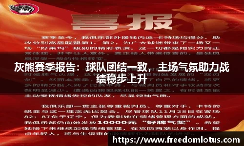 NG体育下载