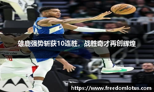 NG体育网址
