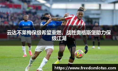 NG体育下载