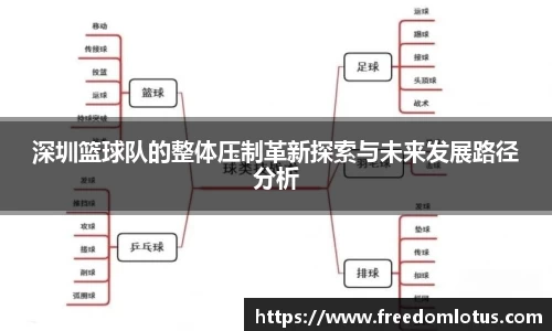 NG体育网址