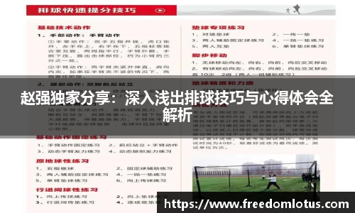 赵强独家分享：深入浅出排球技巧与心得体会全解析