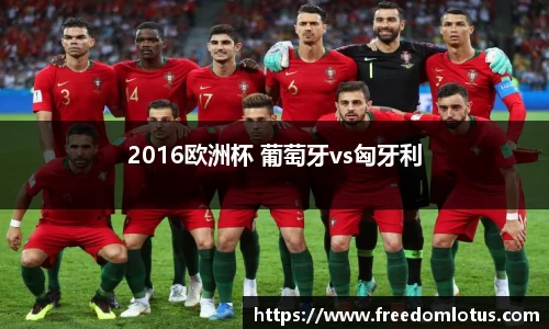 2016欧洲杯 葡萄牙vs匈牙利