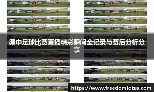NG体育网址