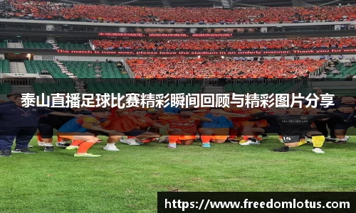NG体育官网