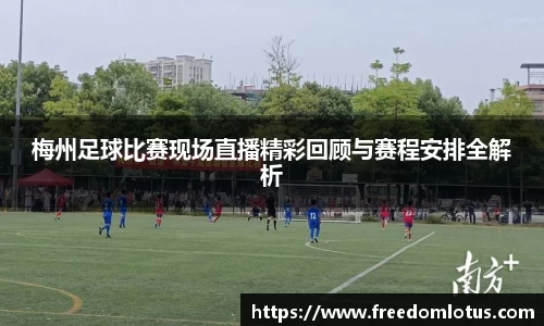 NG体育网址