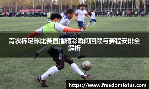 NG体育网址