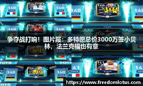 NG体育网址