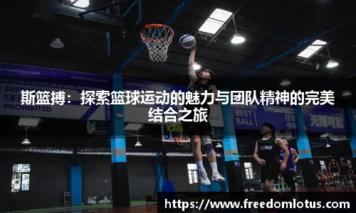 NG体育下载
