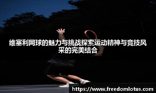 NG体育网址